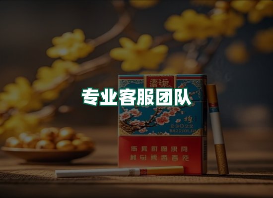 核心优势